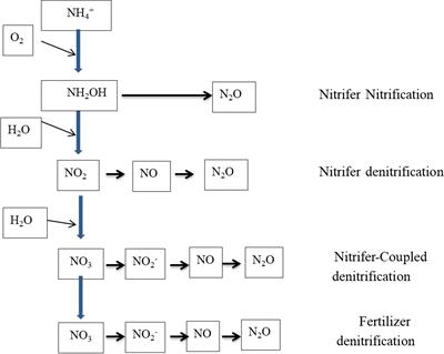 Nitrogen use efficiency—a key to enhance crop productivity under a changing climate